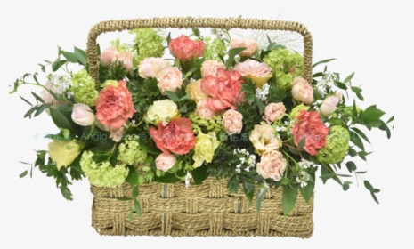 Spray Roses, Carnations And Ssasonal Flowers Md1914｜included - Garden Roses, HD Png Download, Transparent PNG