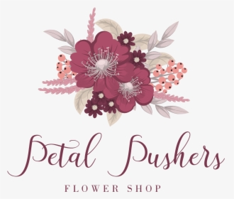 Petal Pushers Flower Shop - Cattleya, HD Png Download, Transparent PNG