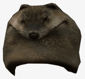 Beaver Mountain Hat-min - Cushion, HD Png Download, Transparent PNG