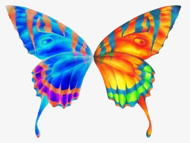 Butterfly Wings Clipart - Butterfly Wings Clipart Png, Transparent Png, Transparent PNG