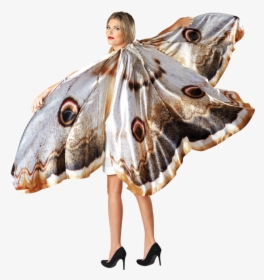 Transparent Moth Wings Png - Butterfly, Png Download, Transparent PNG