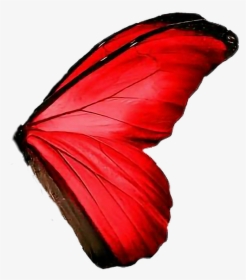 #butterfly #wings #red #amazing - Red Butterfly Wings Png, Transparent Png, Transparent PNG