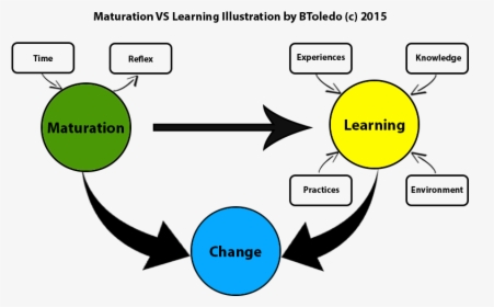 Maturity Vs Learning - Circle, HD Png Download, Transparent PNG