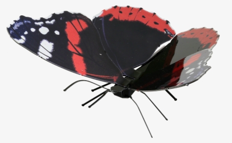 Picture Of Red Admiral - Butterfly, HD Png Download, Transparent PNG
