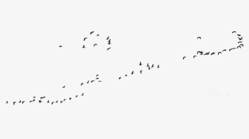 Goose Transparent Flight Clipart Royalty Free Download - Wild Geese Flying Goose Stock, HD Png Download, Transparent PNG