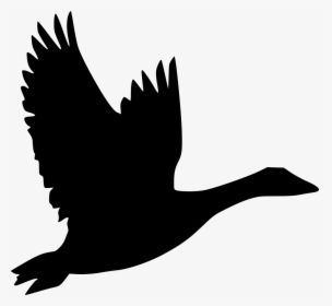 Bird Goose Flight Duck Clip Art - Canada Goose Svg, HD Png Download, Transparent PNG