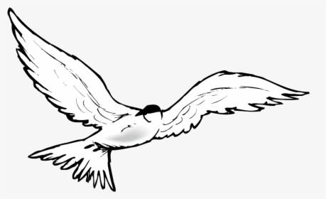 Flying Geese Clipart - Osprey, HD Png Download, Transparent PNG