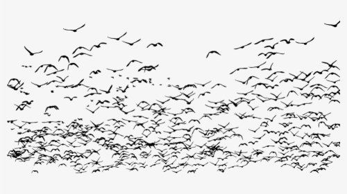 Geese, Birds, Silhouette, Goose, Animals, Flying - Bandada De Aves Migratorias, HD Png Download, Transparent PNG