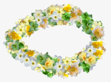 Daffodils, Flowers, Spring, Narcissus, Decoration - Sunflower, HD Png Download, Transparent PNG