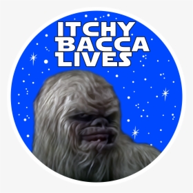 Itchybaccalives - Chewbacca, HD Png Download, Transparent PNG