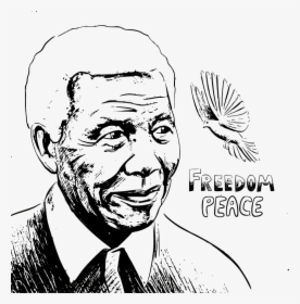 Sketch Of Nelson Mandela, HD Png Download, Transparent PNG