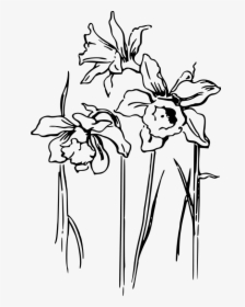 Black And White Daffodil Clipart, HD Png Download, Transparent PNG