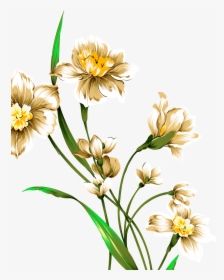 Transparent Daffodil Png - Daffodils Drawing Png, Png Download, Transparent PNG