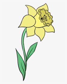 How To Draw A Daffodil - Daffodil Easy Drawing, HD Png Download, Transparent PNG