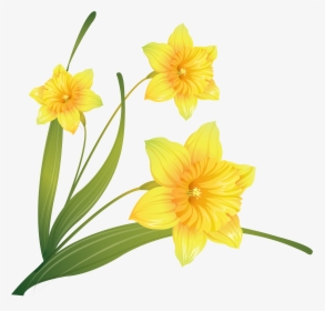 Daffodil Clip Art - Transparent Background Daffodils Png, Png Download, Transparent PNG