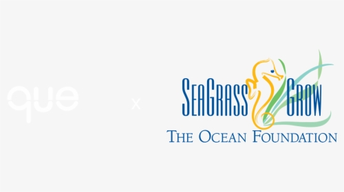 Ocean Foundation Seagrass Grow, HD Png Download, Transparent PNG