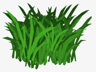 Algae Clipart Transparent Animated Seaweed With Transparent - Seaweed Transparent Background, HD Png Download, Transparent PNG