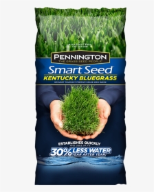 Smart Seed, HD Png Download, Transparent PNG