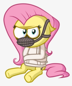 My Little Pony Fluttershy Hey Hey Hey, HD Png Download, Transparent PNG