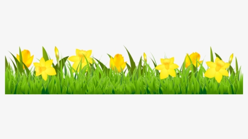 Easter Clipart Daffodil - Daffodil Clipart Border, HD Png Download, Transparent PNG