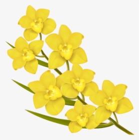 Yellow Flowers Vector Png, Transparent Png, Transparent PNG
