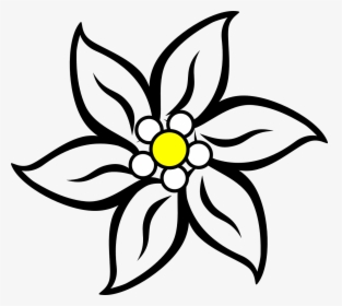 Narcissus Drawing Edelweiss Flower Jpg Stock - Flower Mothers Day Drawings, HD Png Download, Transparent PNG