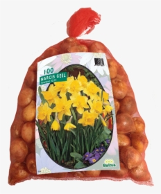 Bloembol Narcis, HD Png Download, Transparent PNG