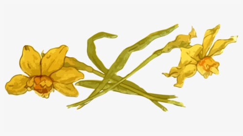 Daffodils Clip Arts - Clip Art, HD Png Download, Transparent PNG