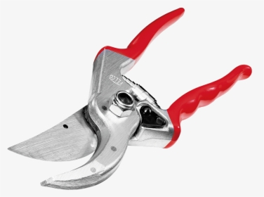 Narcissus Png, Transparent Png, Transparent PNG