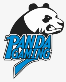Panda Gaming Cs Go - Panda Cs Go, HD Png Download, Transparent PNG