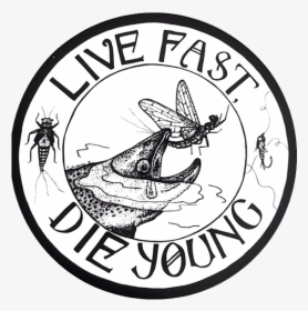 Amy Mcmahon Live Fast Die Young Sticker - Cartoon, HD Png Download, Transparent PNG