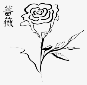Rose Drawing Clip Art - Calligraphic Lines In Art, HD Png Download, Transparent PNG