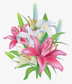 Pink Lilies Flores Pinterest - Transparent Lilies Clipart, HD Png Download, Transparent PNG