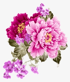 Transparent Free Peony Clipart - Pink And Purple Flowers Png, Png Download, Transparent PNG