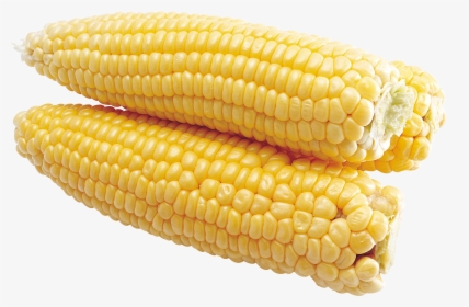 Corn Png Image - Maiz En Png, Transparent Png, Transparent PNG