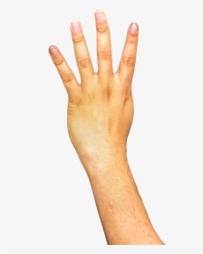 Hands, Fingers, Arm, Png - Transparent Background Arm Transparent, Png Download, Transparent PNG