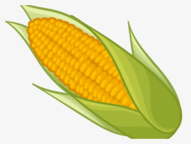 Corn Clipart Yellow Item - Transparent Background Corn Clipart, HD Png Download, Transparent PNG