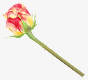 Yellow And Red Rose Bud Png Clipart Image - Rose, Transparent Png, Transparent PNG