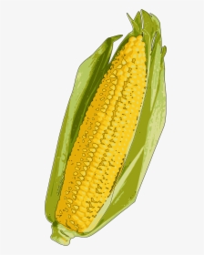 Yellow Corn, HD Png Download, Transparent PNG