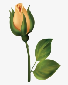 Yellow Rose Bud Png Clipart - Flower Bud Clip Art, Transparent Png, Transparent PNG