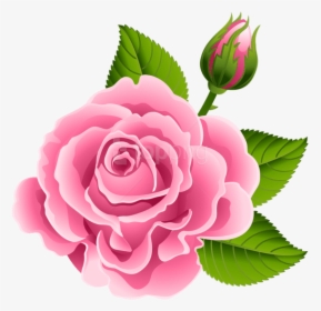 Transparent Rose Bud Png - Pink Rose Bud Clipart, Png Download, Transparent PNG