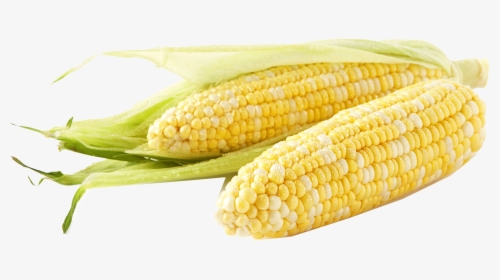 Corn Png Free Download - Meijer Corn, Transparent Png, Transparent PNG