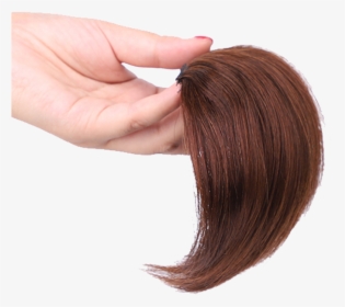Efficacy, Live Hair Show Young Bangs Thickening Reissue - Lace Wig, HD Png Download, Transparent PNG