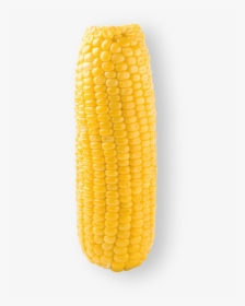 Corn Kernels , Png Download - Transparent Sweetcorn, Png Download, Transparent PNG