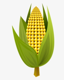 Maize,fruit,leaf - Corn Clipart Png, Transparent Png, Transparent PNG