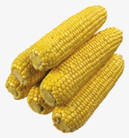 Grab And Download Corn Png Image - Corn On The Cob No Background, Transparent Png, Transparent PNG