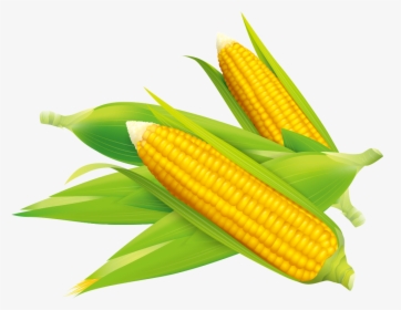 Corn Vector Flake - Sweet Corn Vector Png, Transparent Png, Transparent PNG