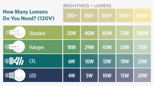 Many Lumens Do I Need - Light Bulb Brightness Guide, HD Png Download, Transparent PNG