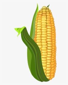Corn Kernels, HD Png Download, Transparent PNG