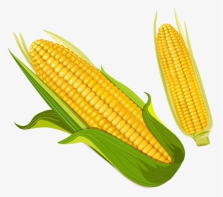 Corn Golden Clipart Food Transparent Png - Corn Clipart, Png Download, Transparent PNG